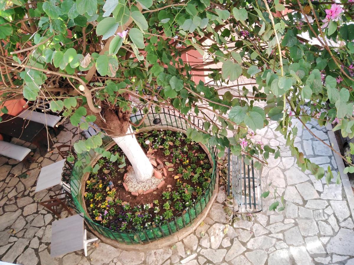 Lilliput Studio Corfu Old Town Zewnętrze zdjęcie